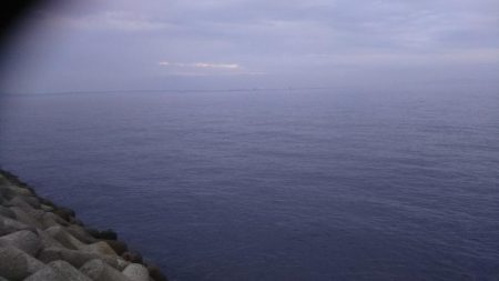 ちびイカの奥にはトンカツサイズ